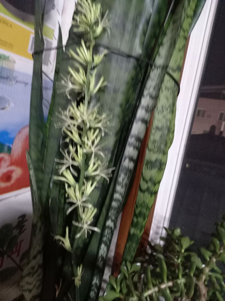 전박사 이미지