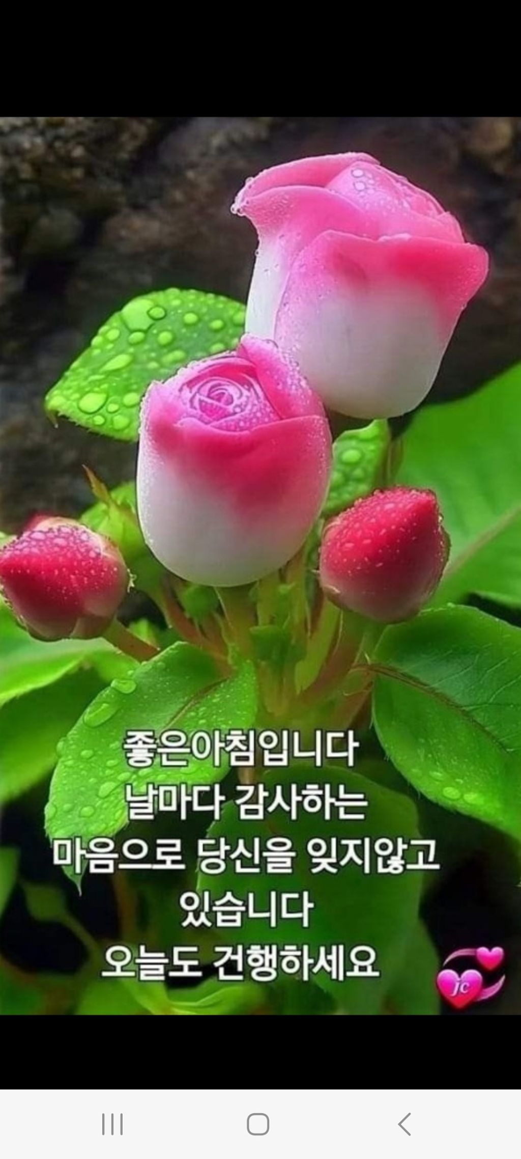 화요일 이미지