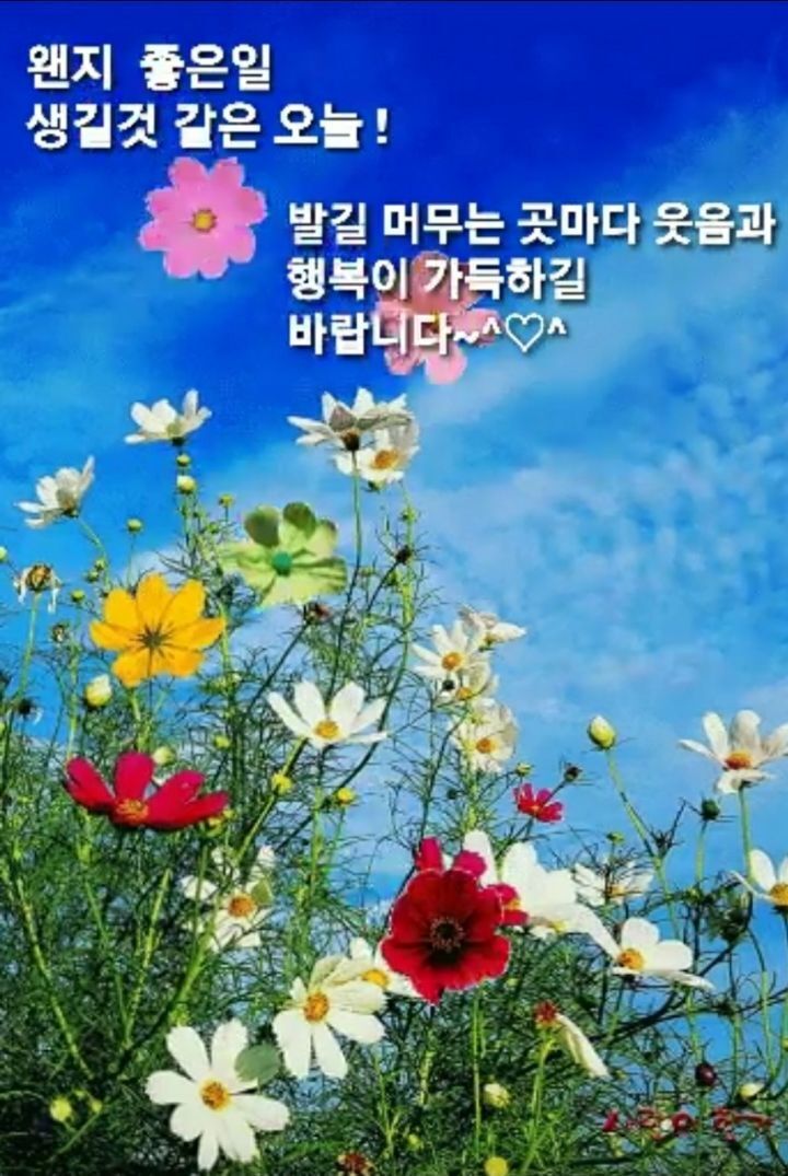 전박사 이미지