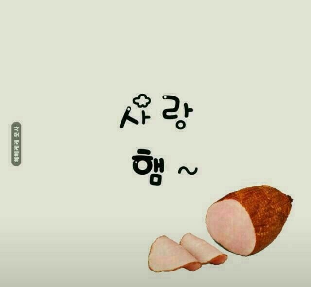 169 이미지