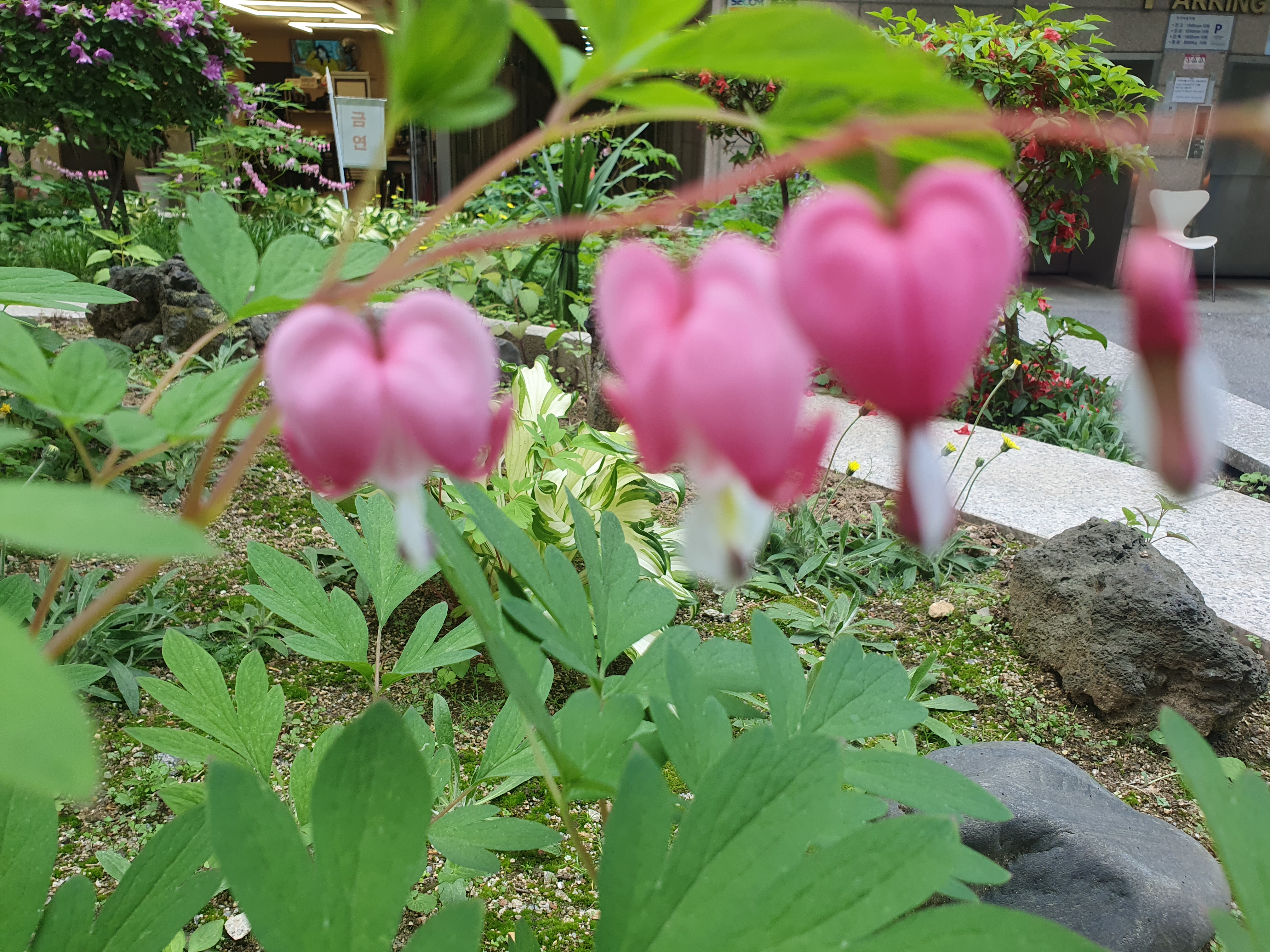터니 이미지