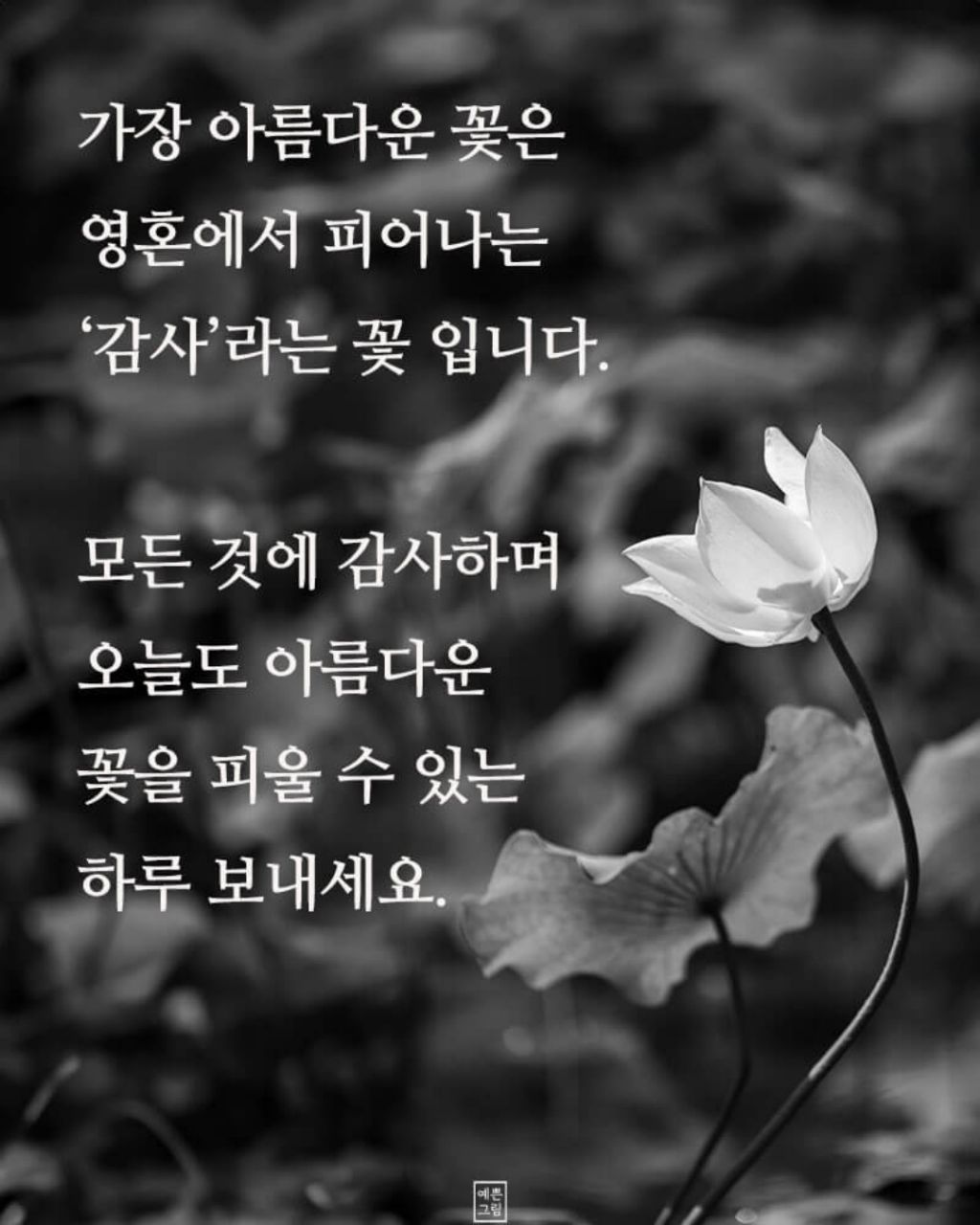 푸른향기 이미지