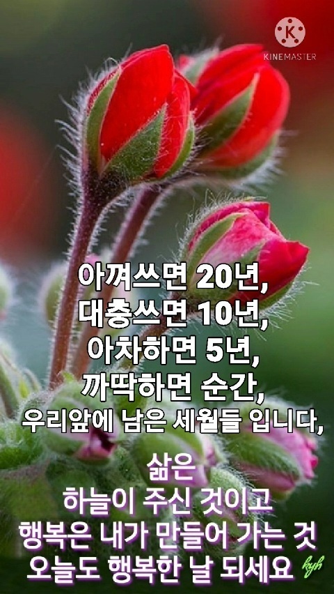 라이브사랑벌 이미지