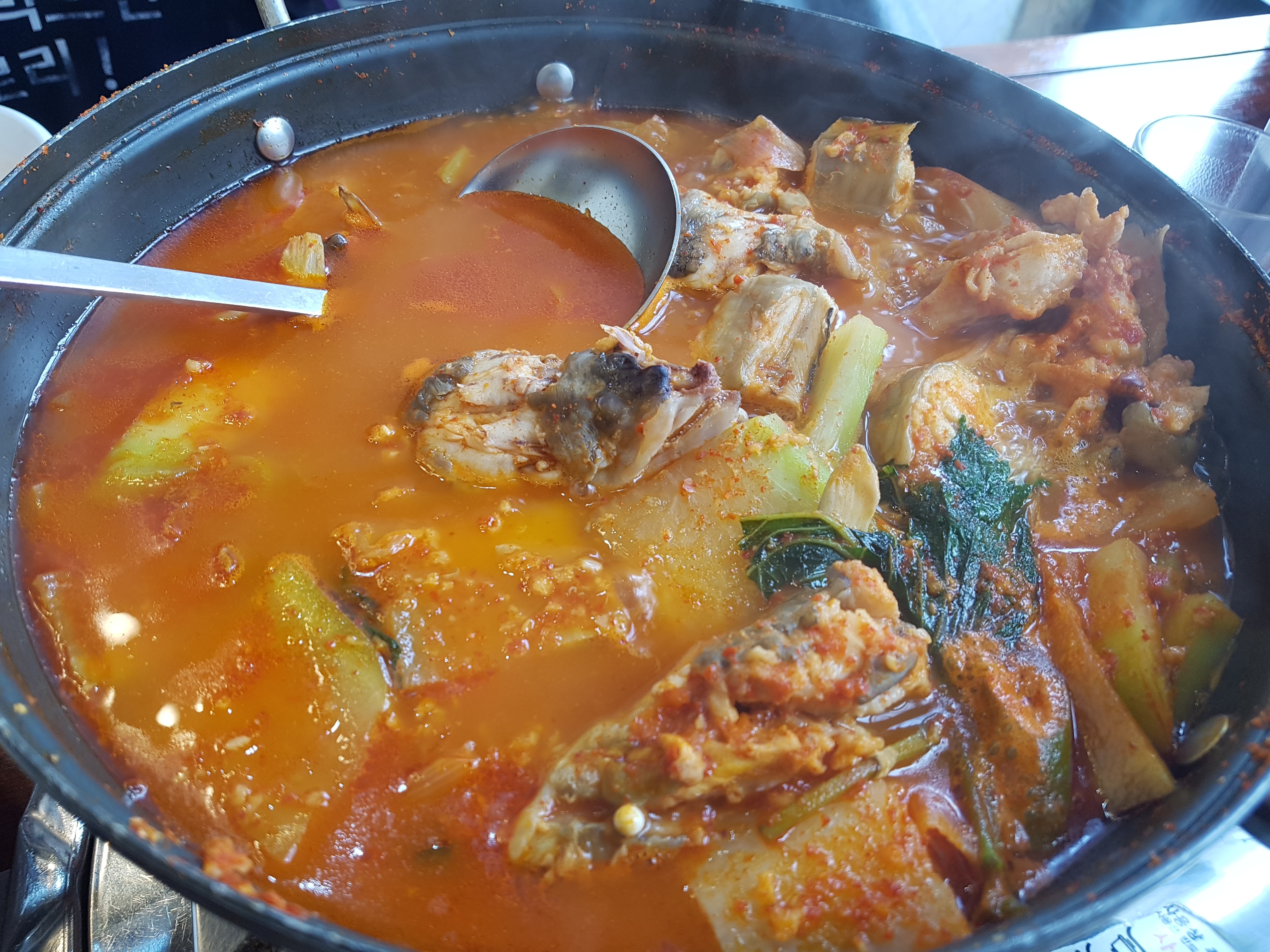남해바다장어 이미지