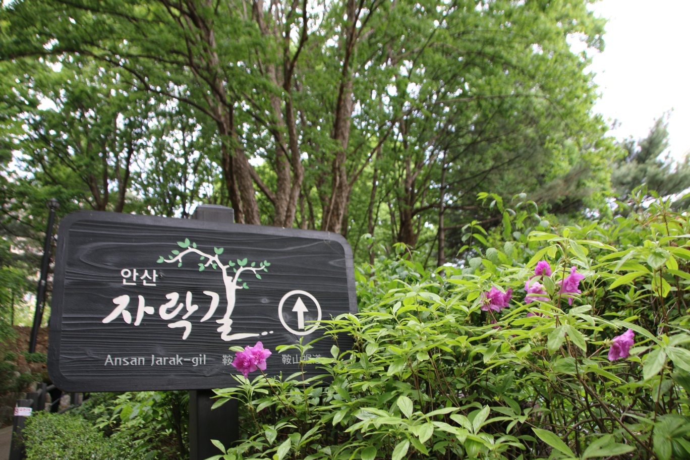 장춘족발 이미지