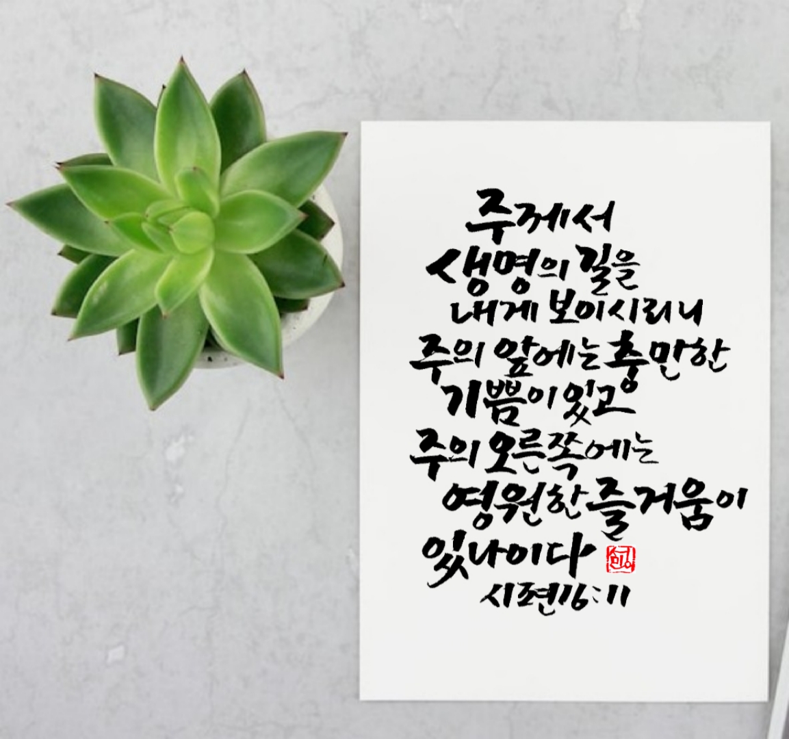 영원 이미지