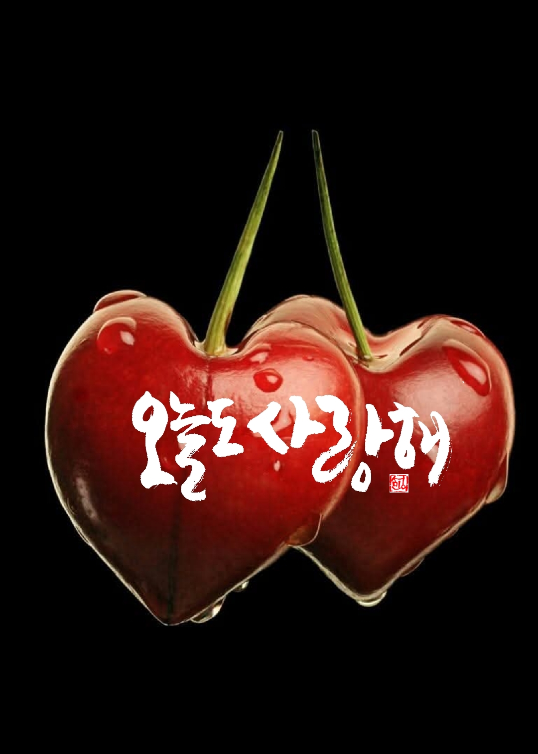영화로운 이미지