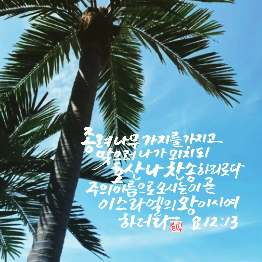 호산나 이미지