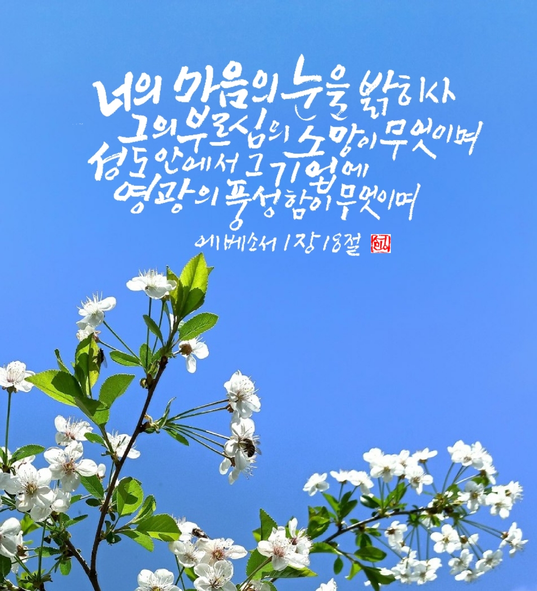 소망 이미지