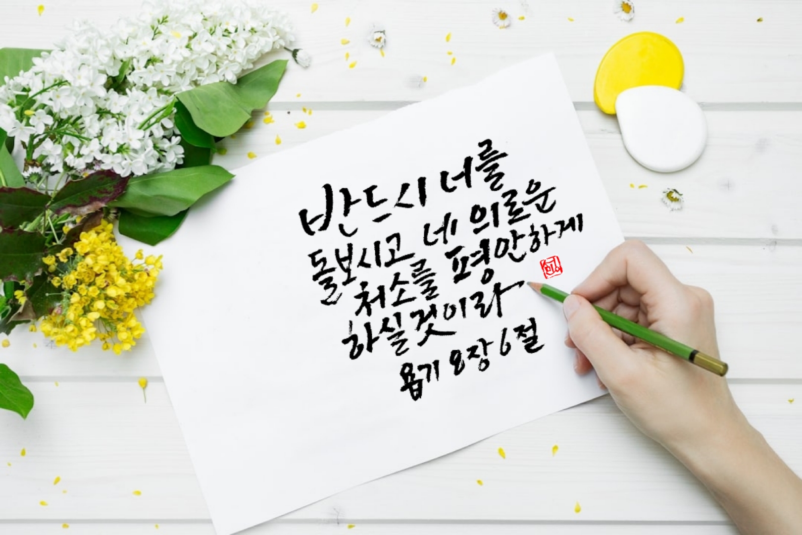 평안이네 이미지