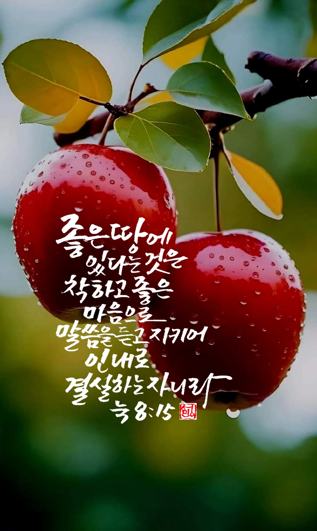 우리의결실 이미지