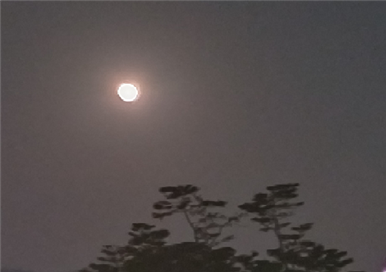 춘산 이미지