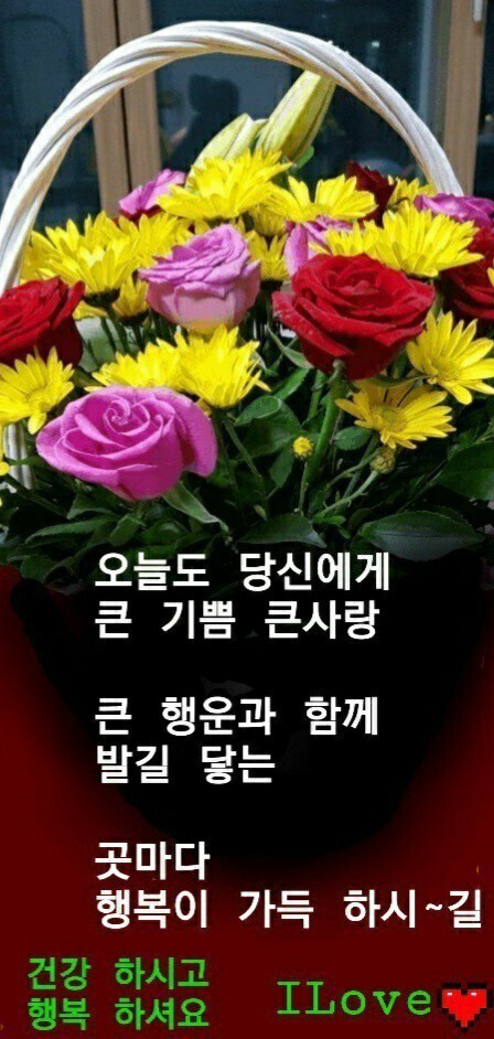 멋진하루 이미지