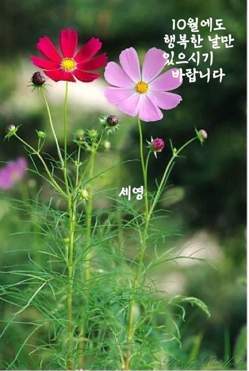 만남의장소 이미지