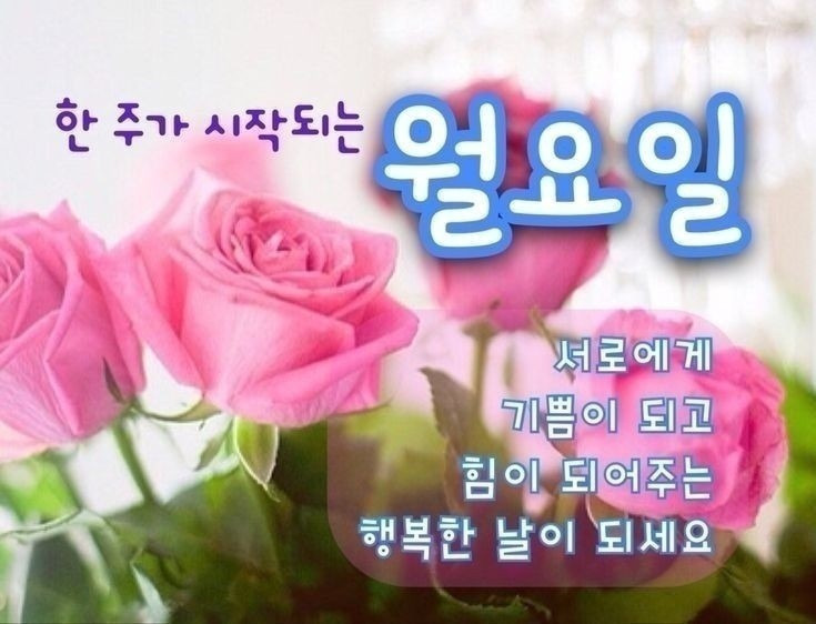 멋진하루 이미지