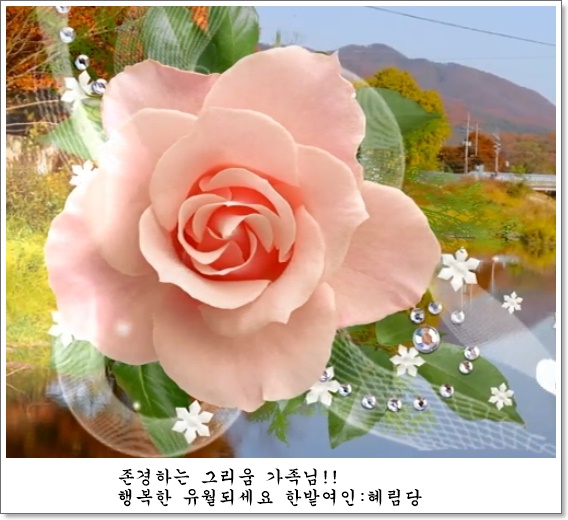 과실온 이미지