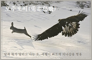 토주 이미지