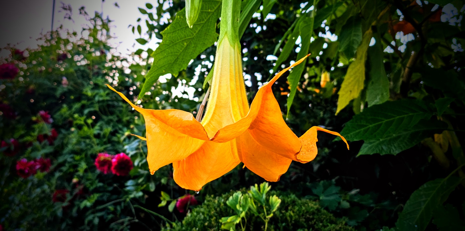 유별 이미지