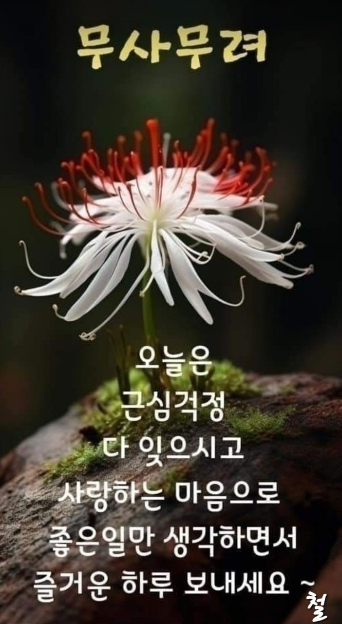 멋진하루 이미지