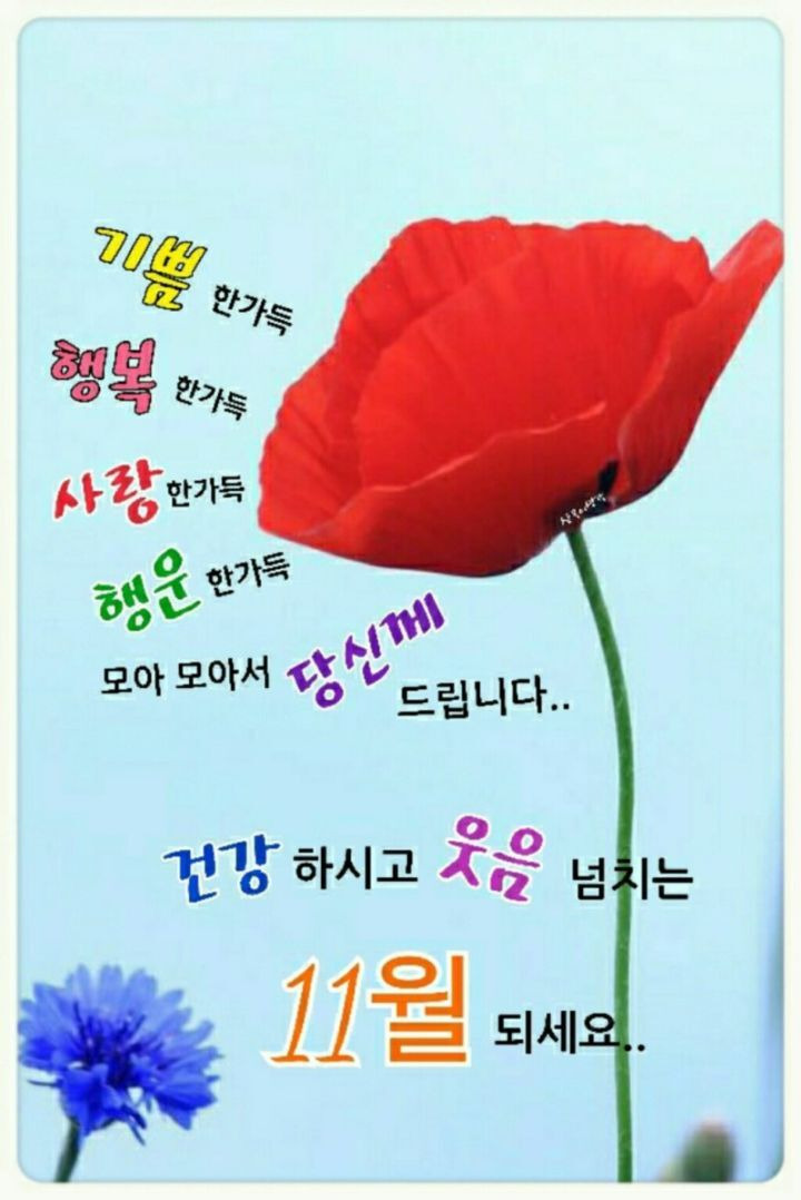 나날 이미지