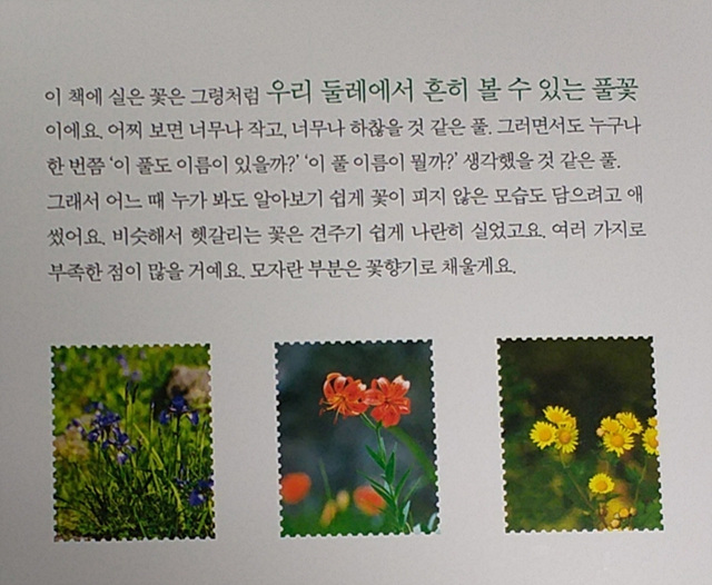 풀꽃이야기 이미지