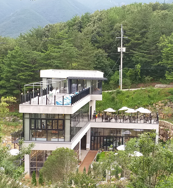 수국정원카페 이미지