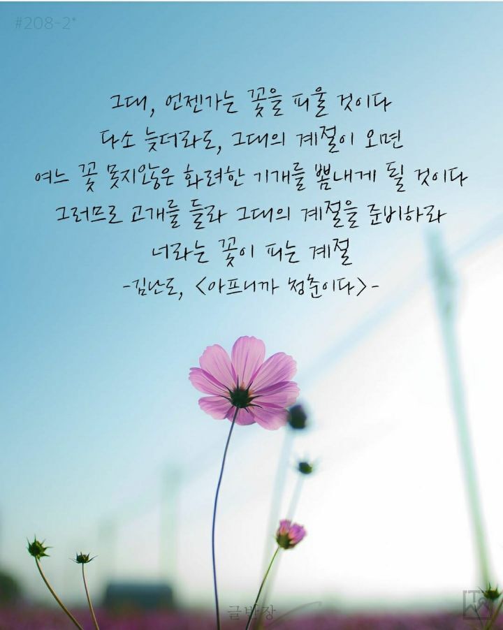 그대의계절 이미지