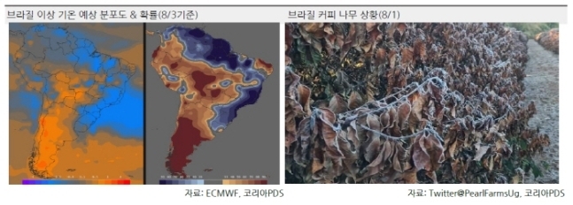 커브커피 이미지