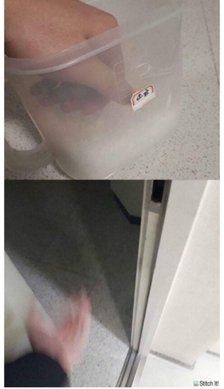 가이아커피 이미지