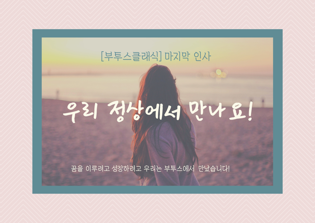 클래식나무 이미지