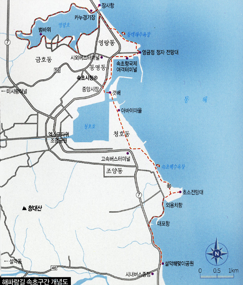 속초88수산 이미지