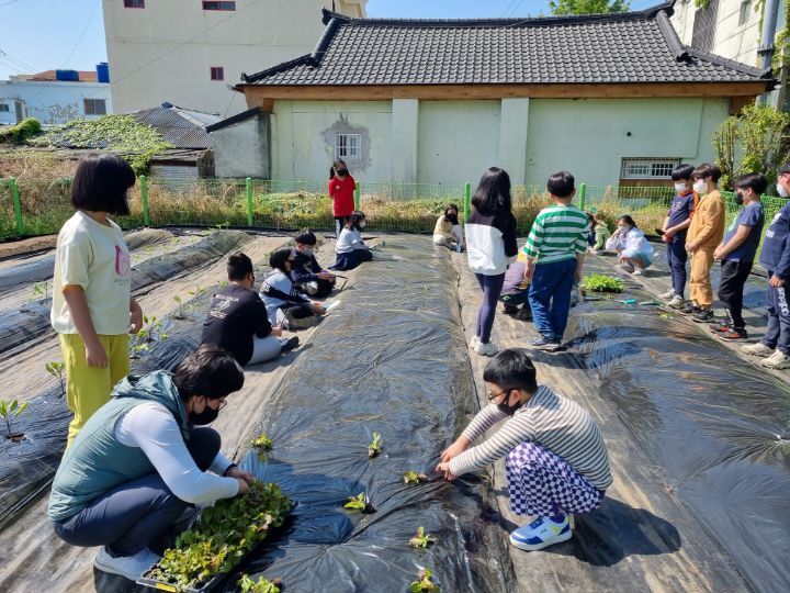 창원상남초등학교 이미지