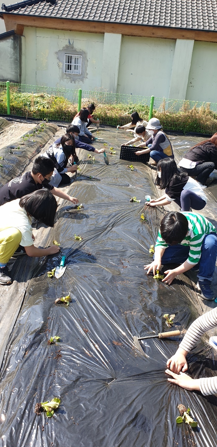 처음학교생태체험 이미지