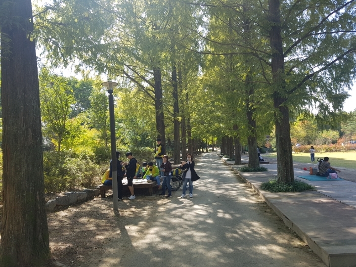 파란들 이미지