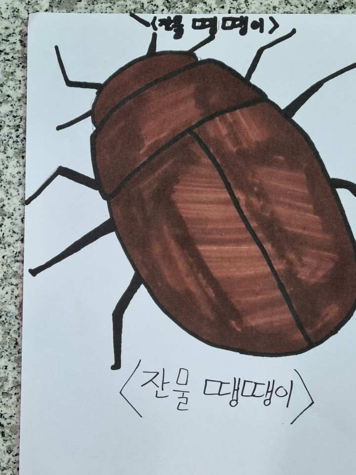 에코누리 이미지