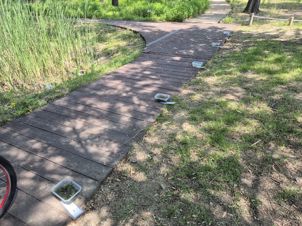 남지초등학교 이미지