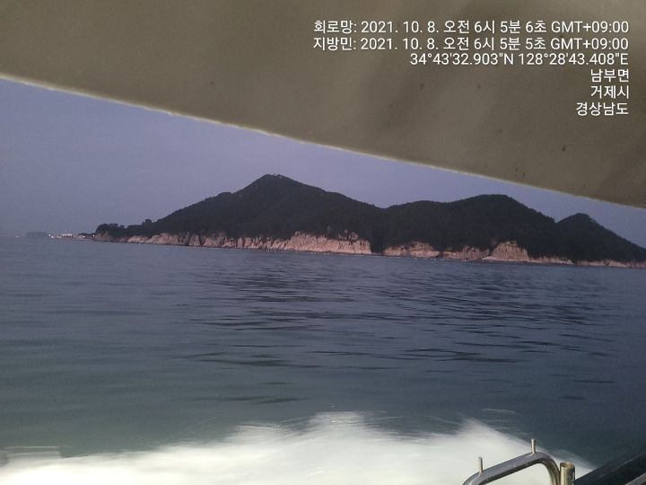 오징 이미지