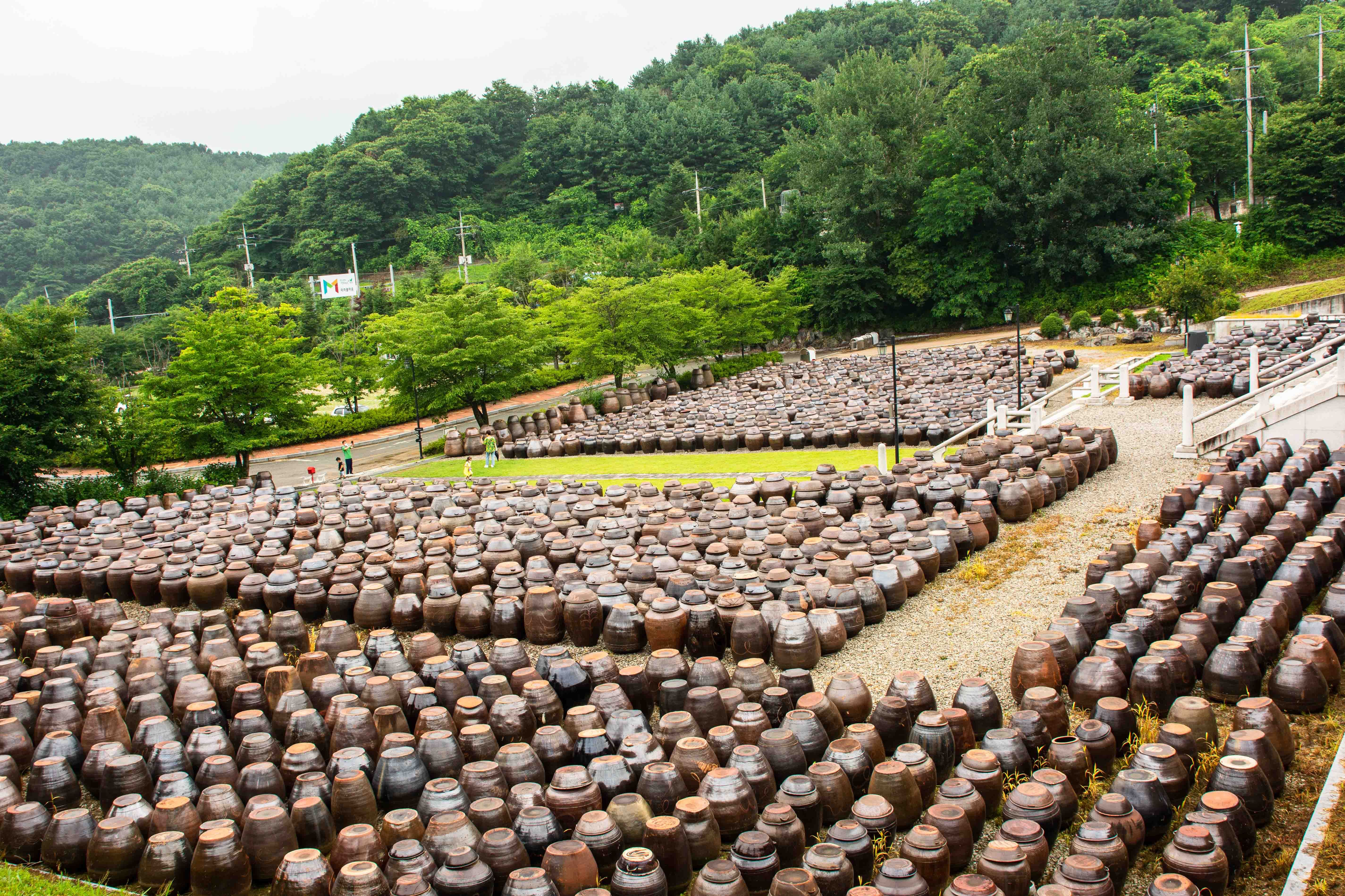 세라비 이미지