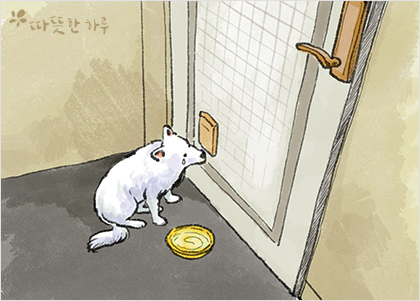 못된강아지 이미지