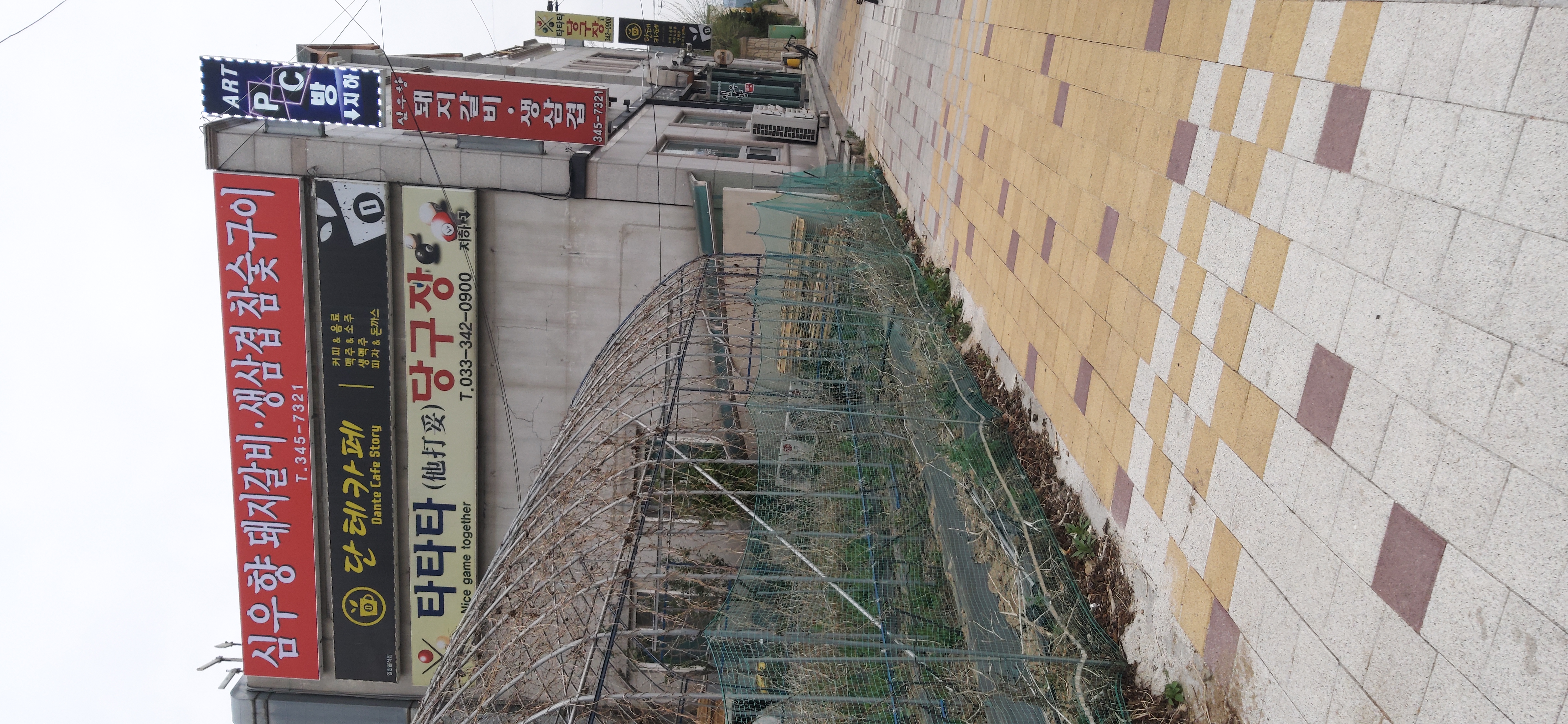 심우향 이미지