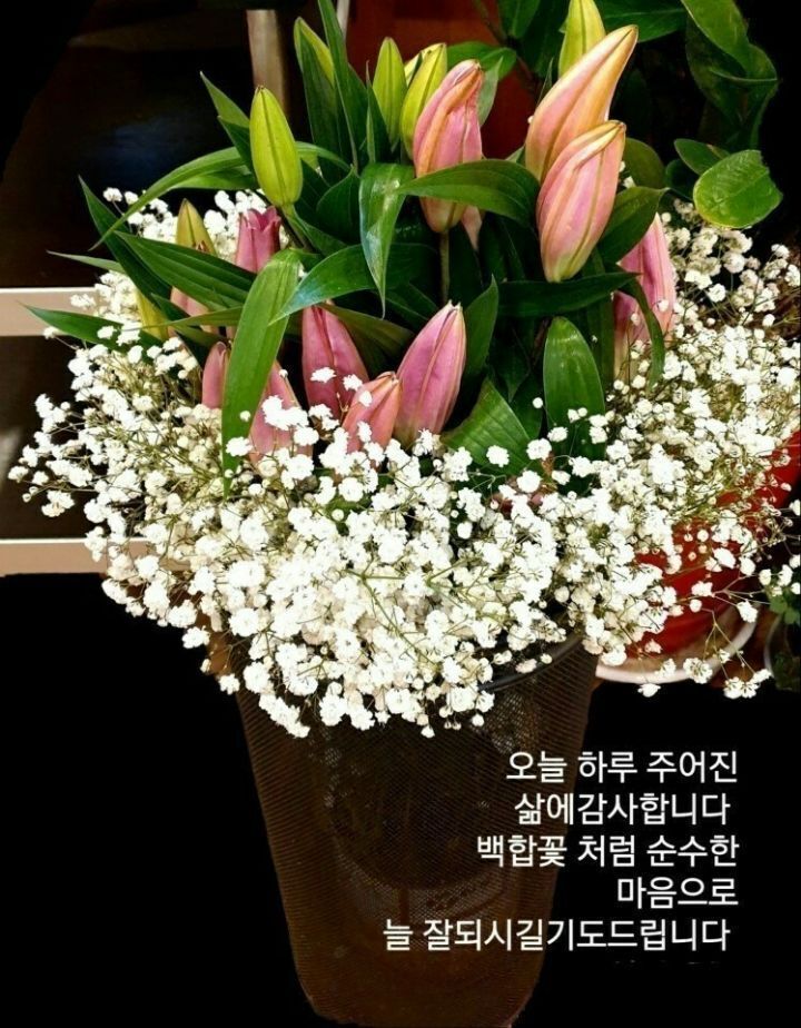 멋진하루 이미지