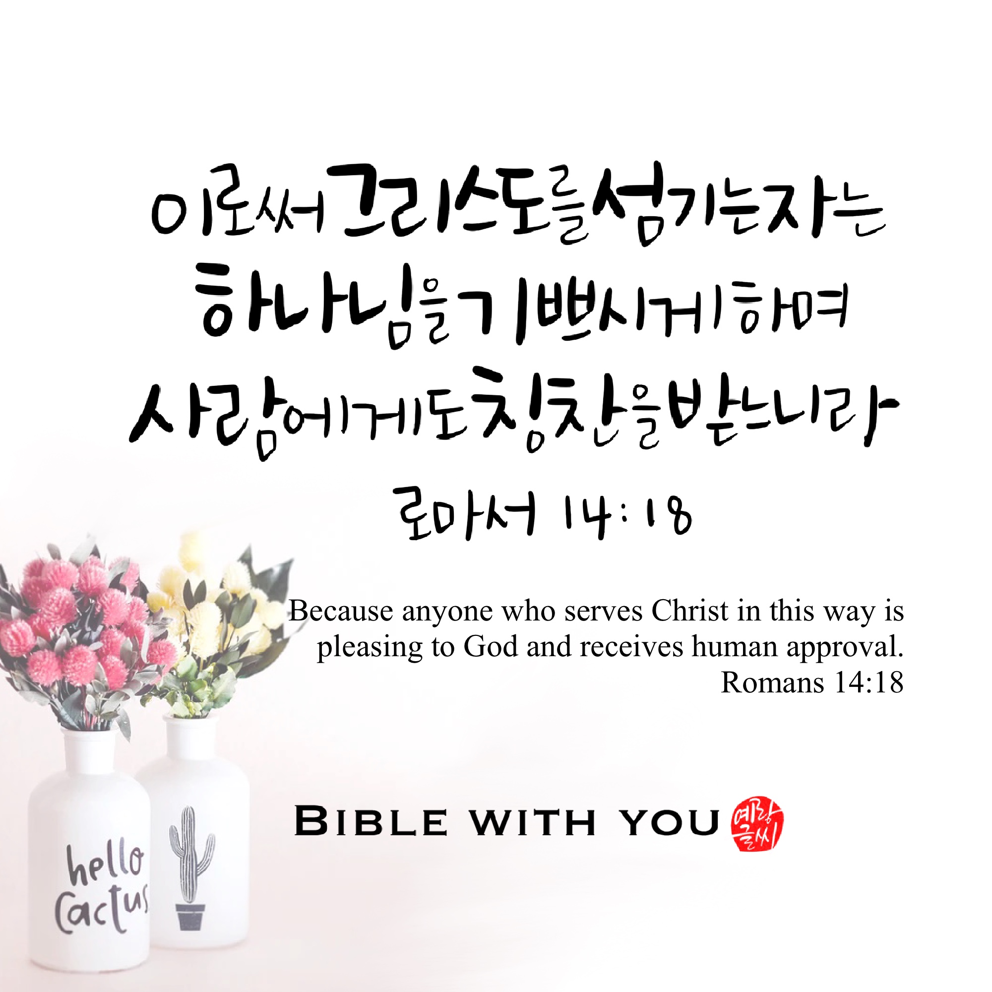 베게드 이미지