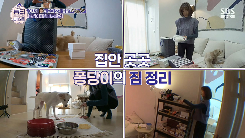 배우 이초희가 유기견을 임시보호하고 보내는 과정 | 인스티즈