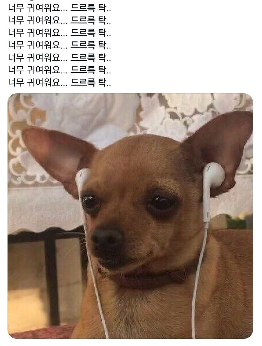 나 포함 많은 덬들이 잘못 알고 있었던 돌판 주접용어 '드르륵 탁'...jpg | 인스티즈