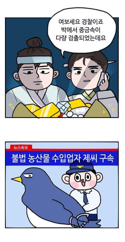 무슨 마약하는지 궁금한 부산 경찰 | 인스티즈