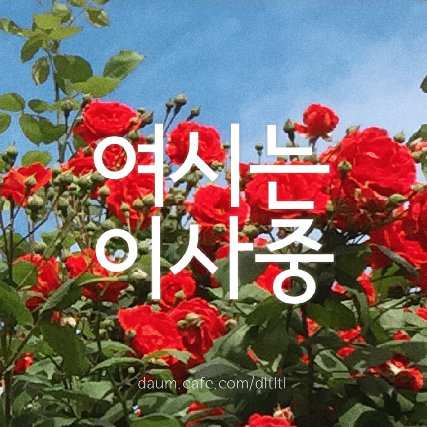 스웨덴에게 지지않는 더치페이의 원조 네덜란드인 | 인스티즈