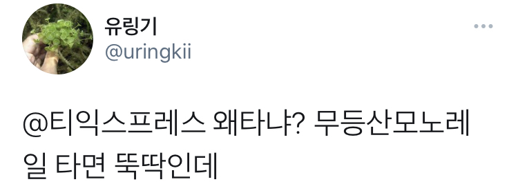 티익스프레스 왜 타니? 무등산 모노레일 타면 뚝딱인데.twt | 인스티즈