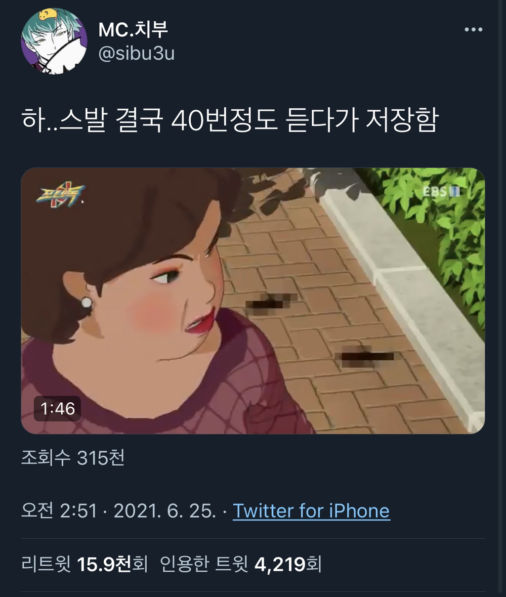 하..스발 결국 40번정도 듣다가 저장함.twt | 인스티즈