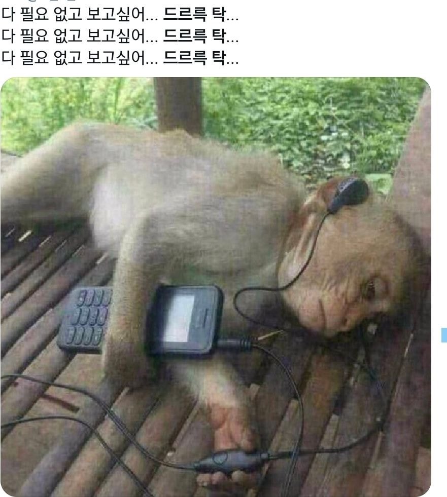 나 포함 많은 덬들이 잘못 알고 있었던 돌판 주접용어 '드르륵 탁'...jpg | 인스티즈