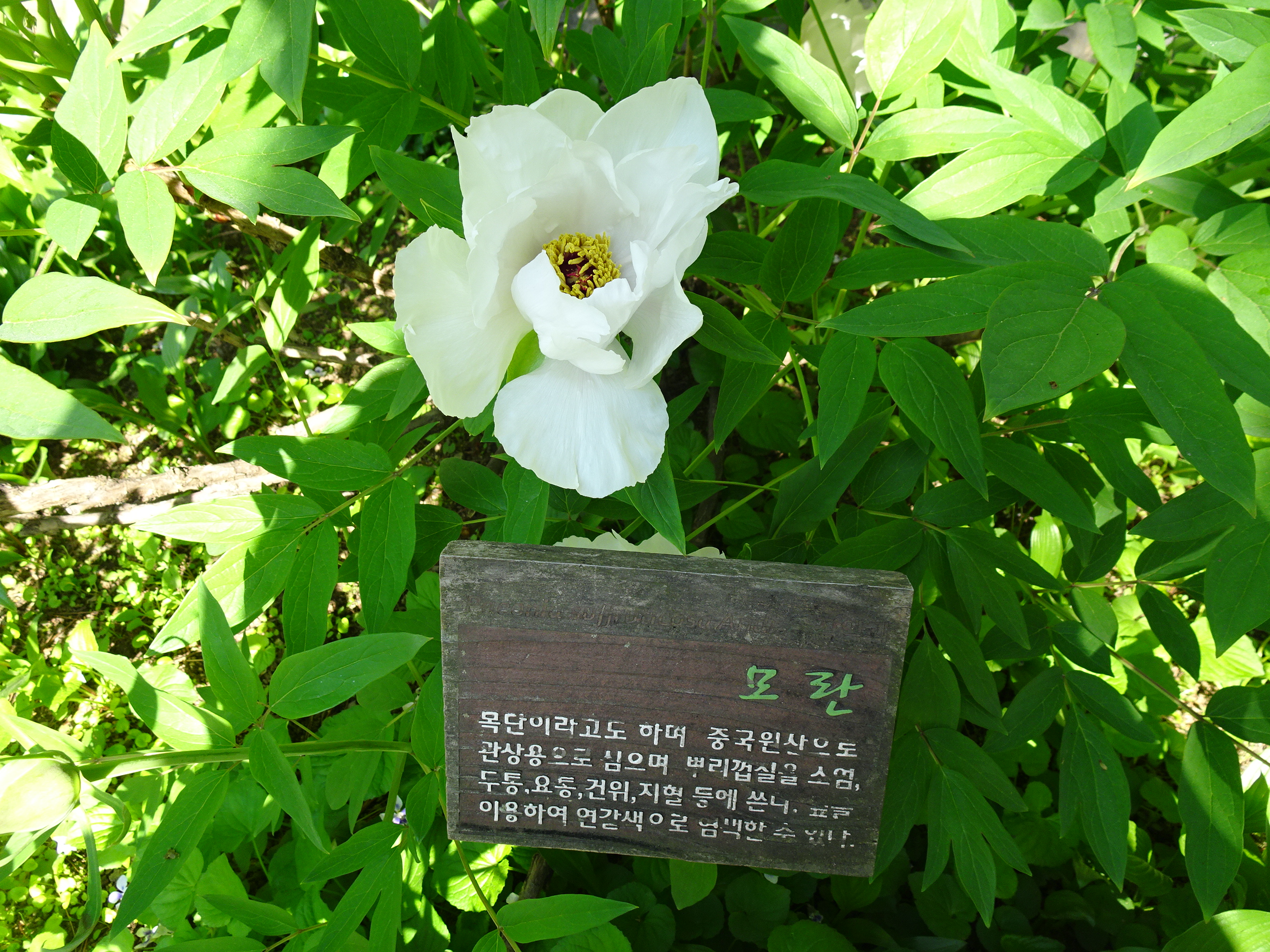 갤러리순 이미지